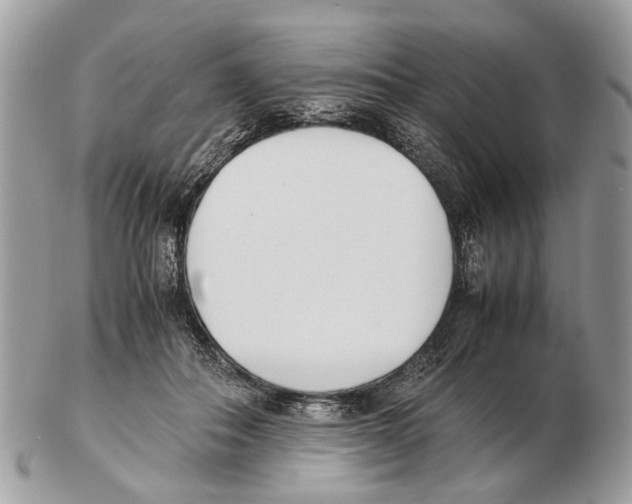 X0000102470506200809051336