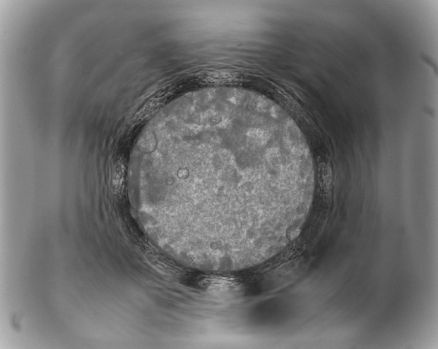 X0000102470507200809051336