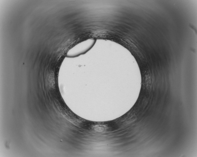 X0000102470508200809051336