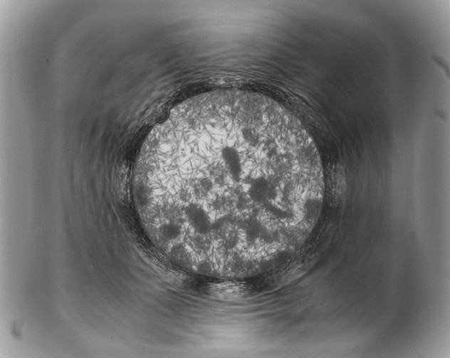 X0000102470511200809051336