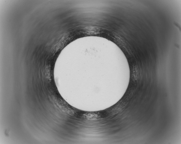 X0000102470512200809051336