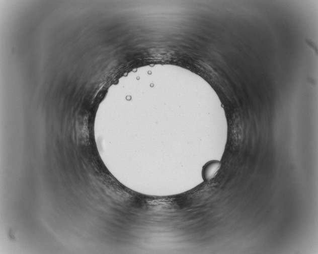 X0000102470516200809051336