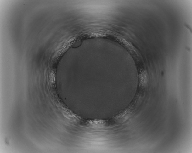 X0000102470517200809051336