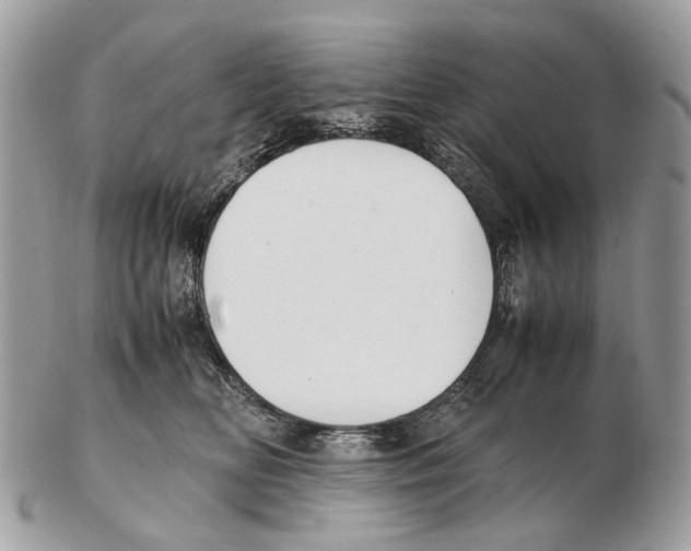 X0000102470518200809051336