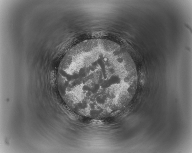 X0000102470519200809051336