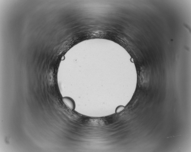 X0000102470520200809051336