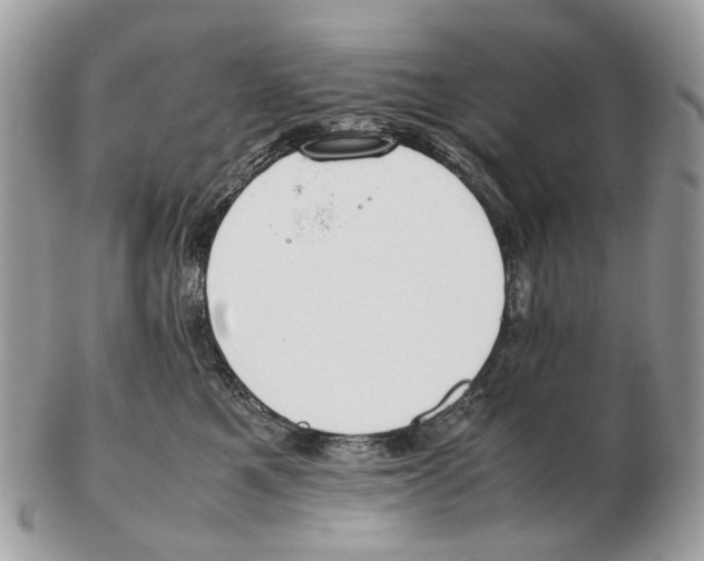 X0000102470521200809051336