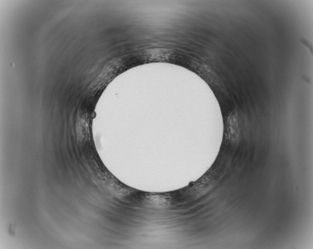 X0000102470522200809051336