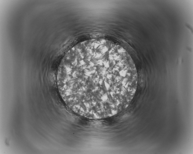 X0000102470523200809051336