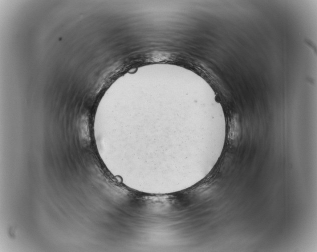 X0000102470524200809051336