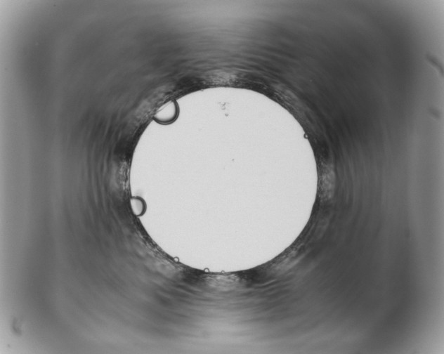 X0000102470525200809051336