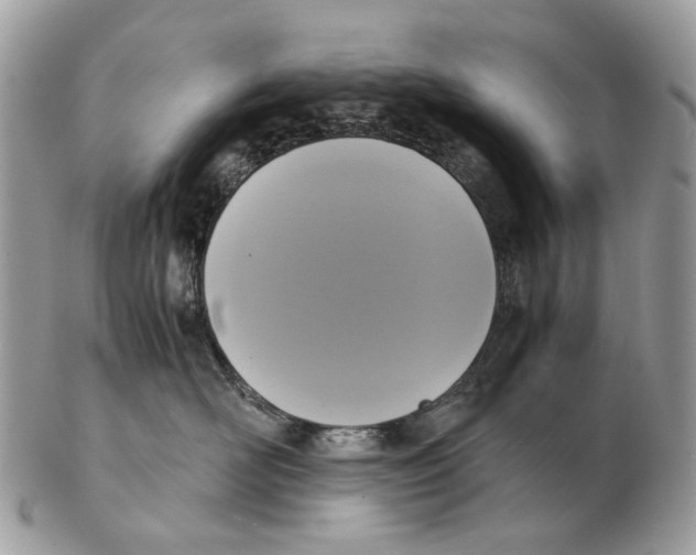 X0000102470526200809051336