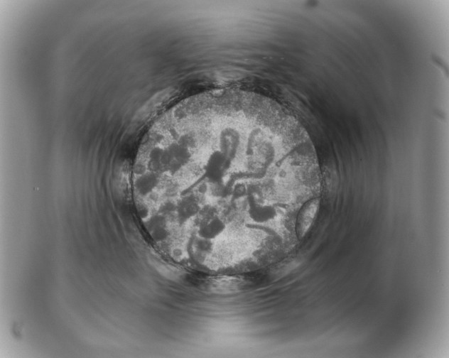 X0000102470527200809051335