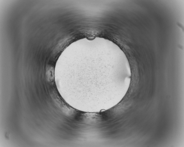 X0000102470528200809051335