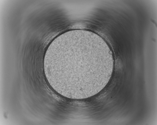 X0000102470529200809051335