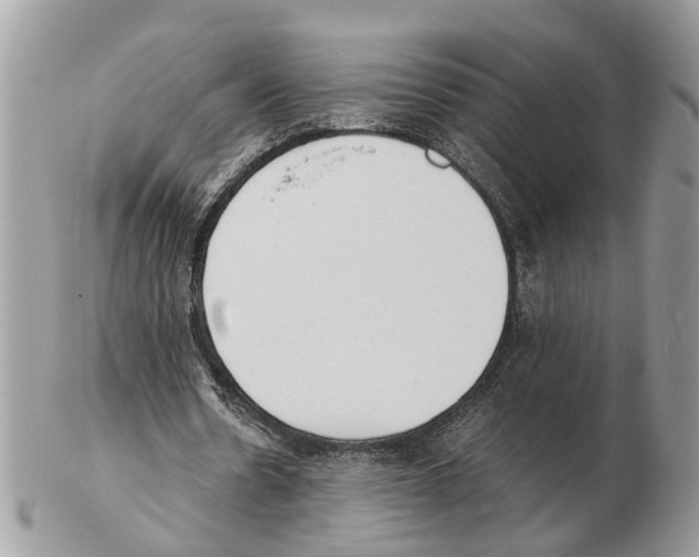 X0000102470530200809051335