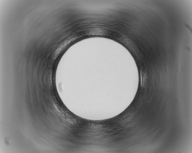 X0000102470531200809051335