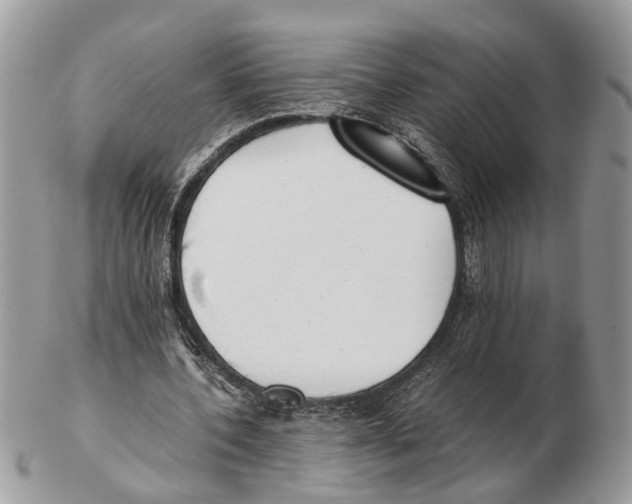 X0000102470532200809051335