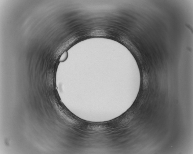 X0000102470533200809051335