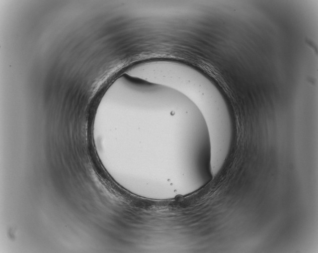 X0000102470534200809051335