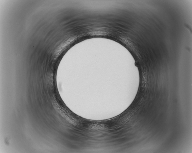 X0000102470535200809051335