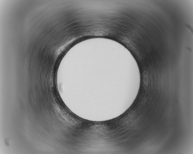 X0000102470536200809051335