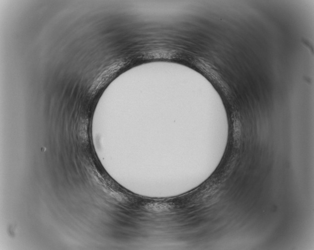 X0000102470537200809051335