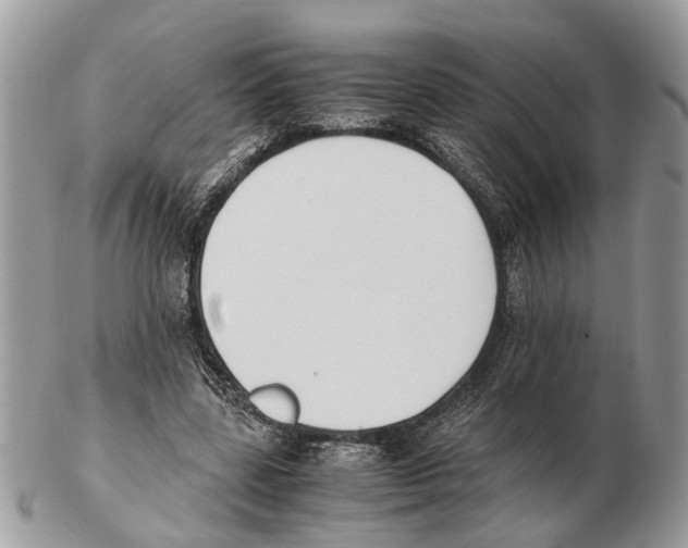 X0000102470539200809051335