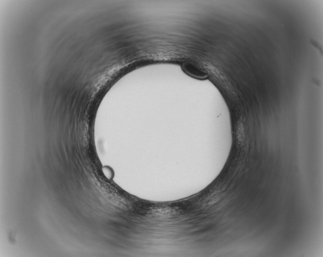 X0000102470540200809051335