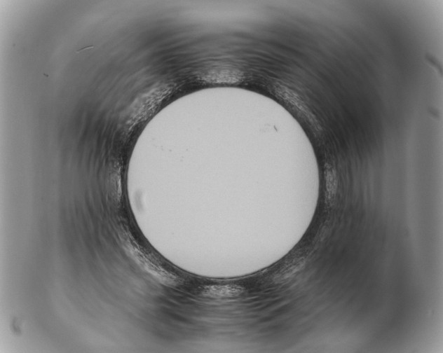 X0000102470541200809051335