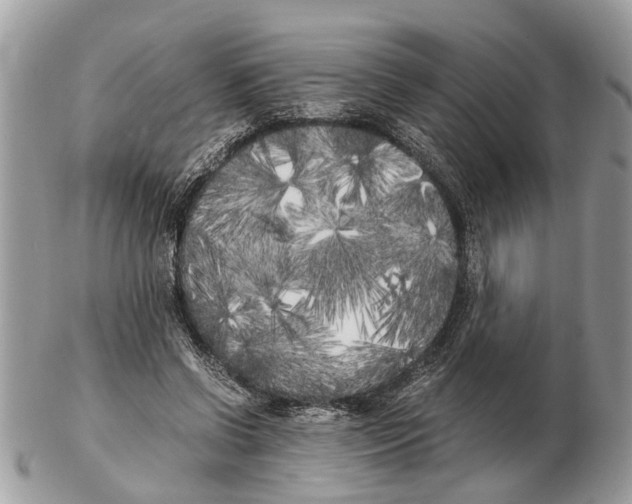 X0000102470542200809051335