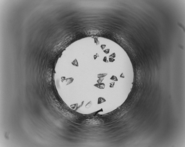 X0000102470545200809051335