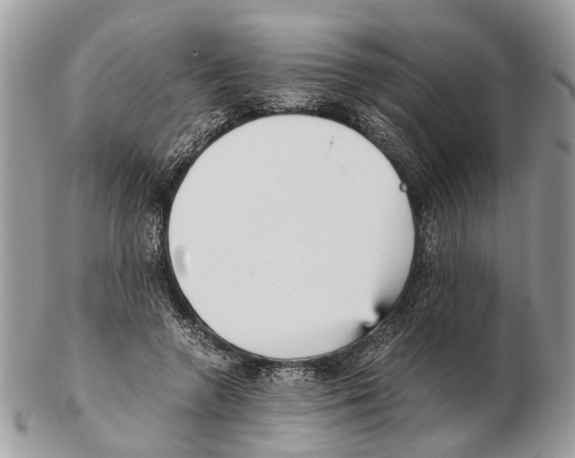 X0000102470546200809051335