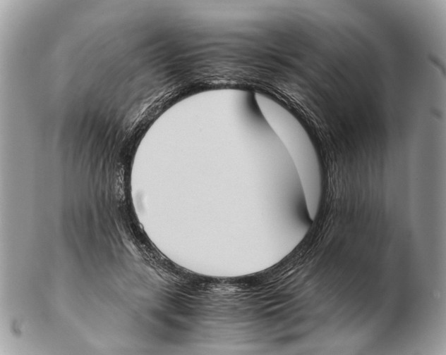 X0000102470547200809051335