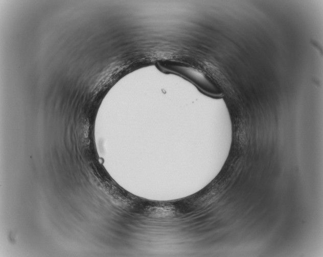 X0000102470548200809051335