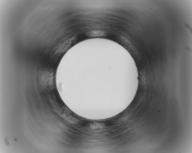 X0000102470549200809051335