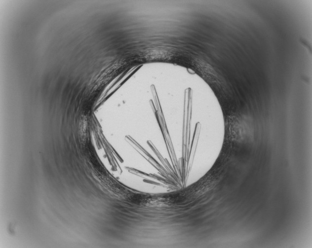 X0000102470550200809051335