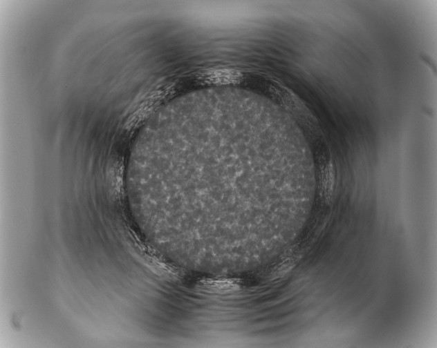 X0000102470553200809051335