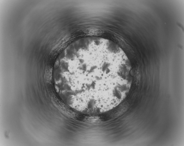 X0000102470554200809051335