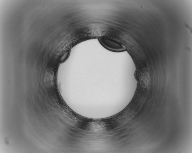 X0000102470556200809051335