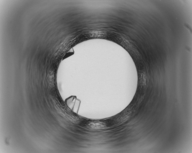 X0000102470557200809051335