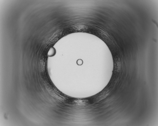X0000102470558200809051335