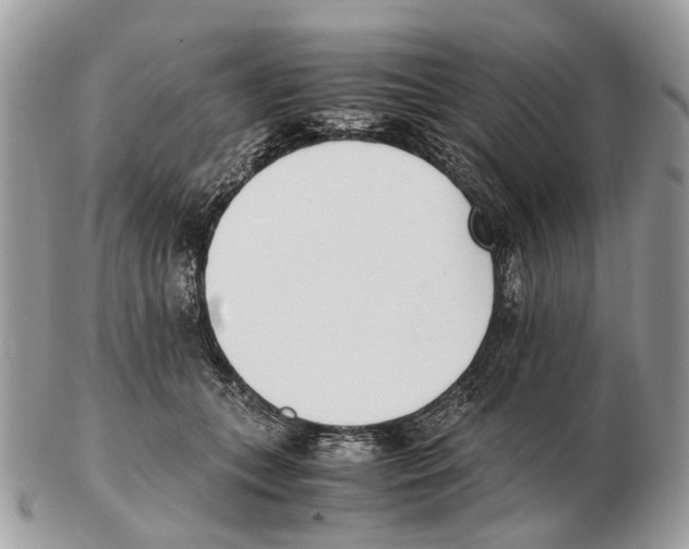 X0000102470559200809051335