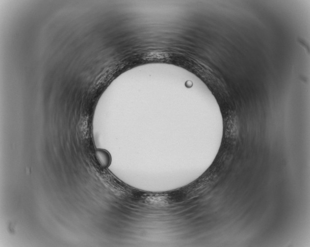 X0000102470560200809051335