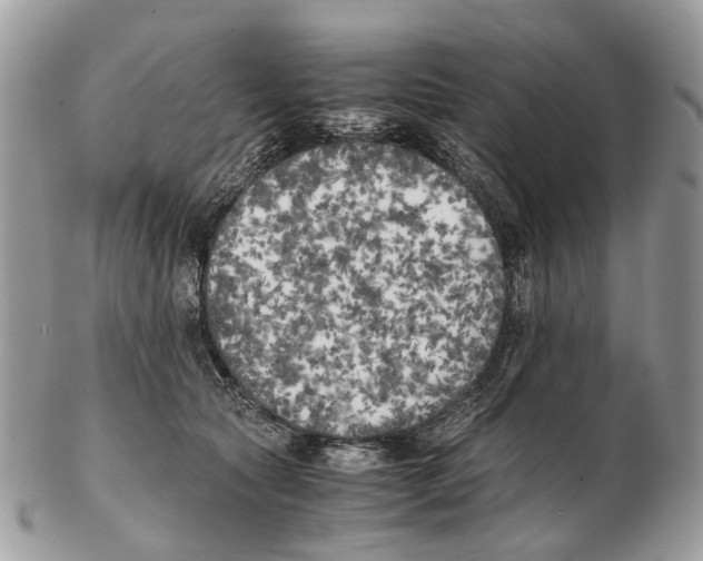 X0000102470561200809051335