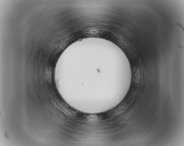 X0000102470562200809051335