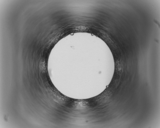 X0000102470564200809051335