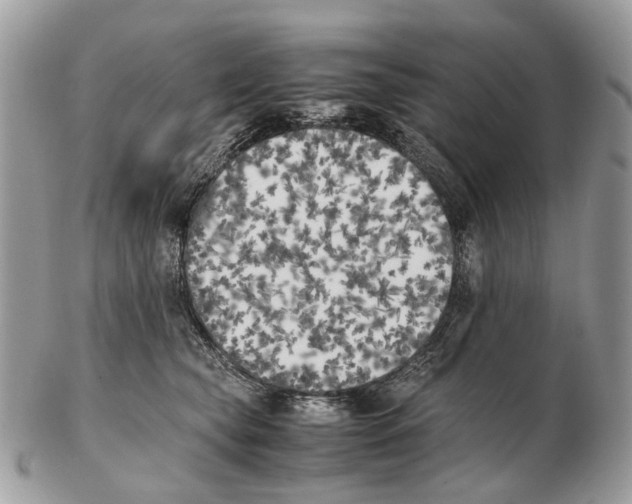 X0000102470565200809051335