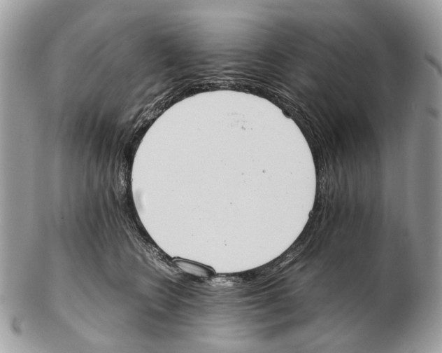 X0000102470566200809051335