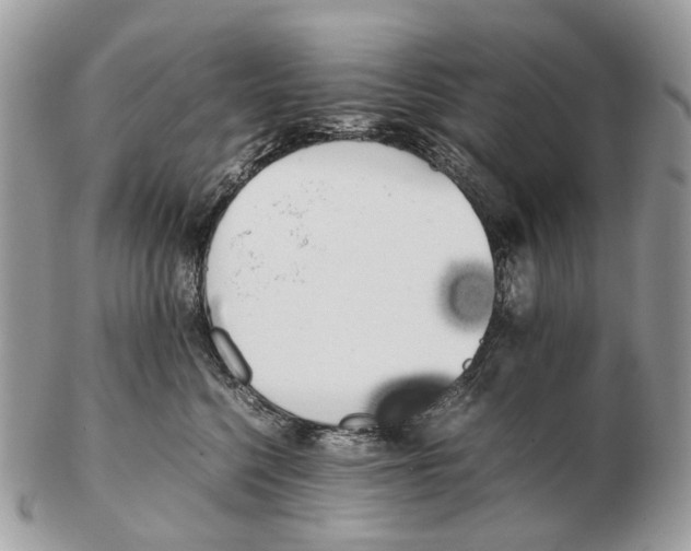 X0000102470568200809051335